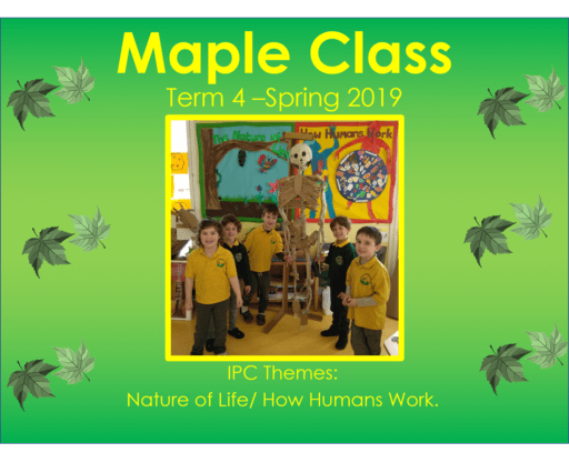 Maple Class Term 4 - 2019